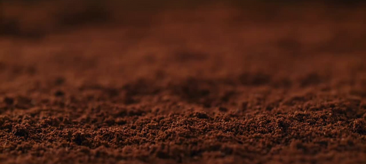 Unlocking the Bold Secrets of French Roast Coffee Beans